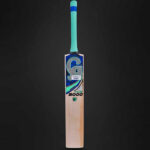 CA plus 8000 EW bat