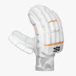 DSC Warner Batting Gloves