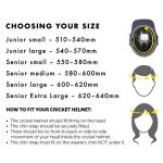 Masuri T Line (Steel) Cricket Helmet